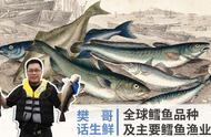 樊哥深度解析：全球鳕鱼种类及其主要渔业
