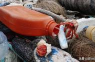 新研究揭示：57万寄居蟹被瓶中饿死，恶性循环已启动