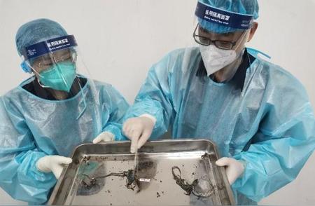 北京海关再次截获活体火蝾螈，保护生物安全至关重要